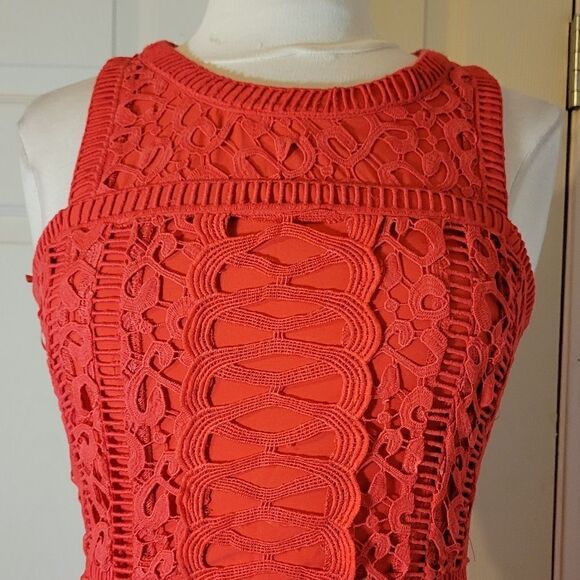 Greylin Red Inset Lace sheath Dress sz XS - Picture 12 of 12